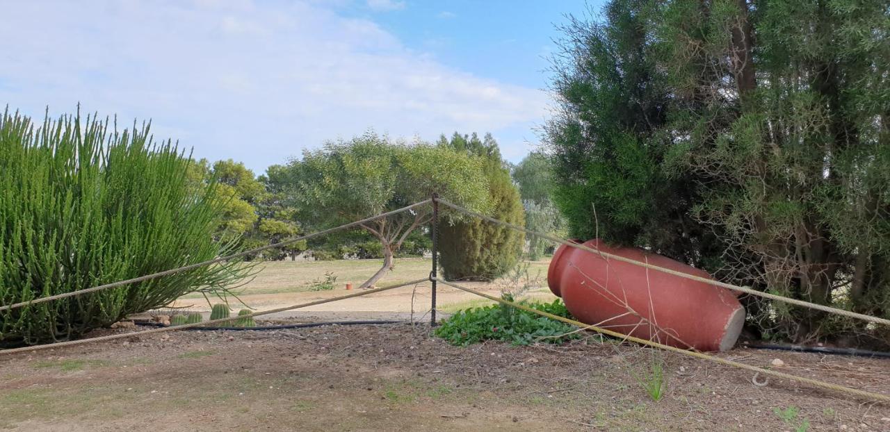 El Molino De Arriba Níjar Exterior foto