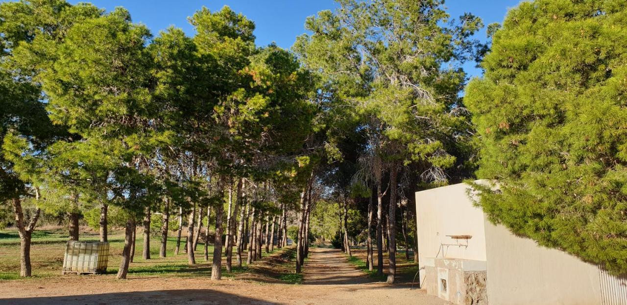El Molino De Arriba Níjar Exterior foto