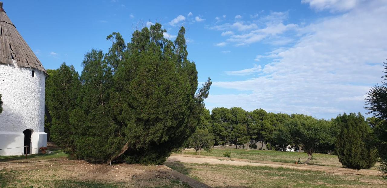 El Molino De Arriba Níjar Exterior foto